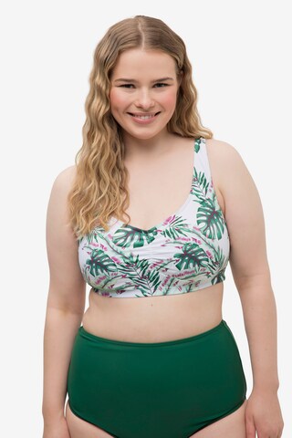 Studio Untold Bralette Bikini Top in Mixed colors