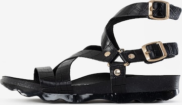 Bayton - Sandalias con hebilla 'Armidale' en negro: frente