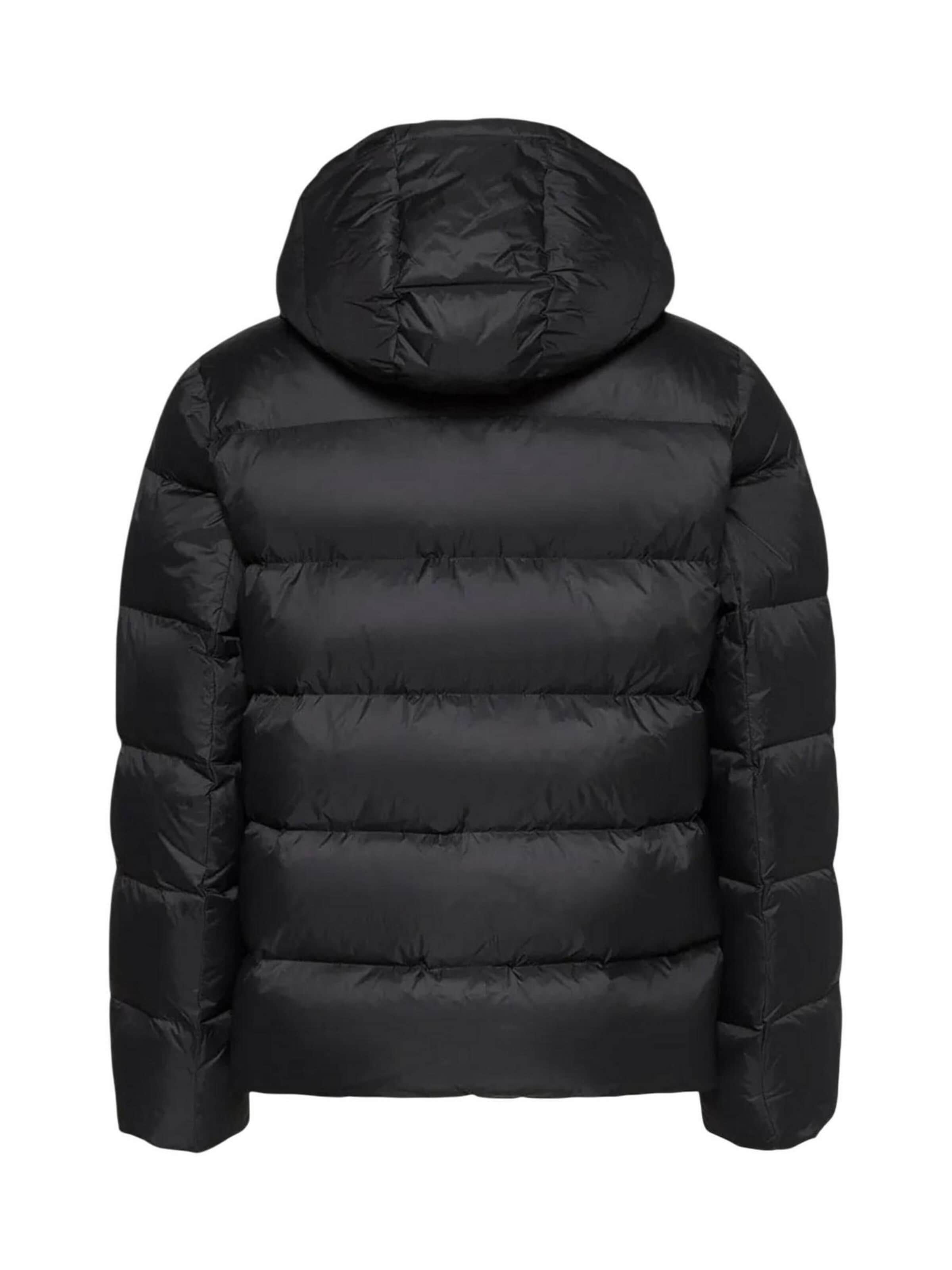 Cappotto invernale di Calvin Klein Jeans in nero
