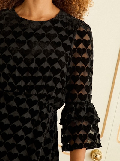 Rochie love & roses pe gri închis / negru, Vizualizare produs