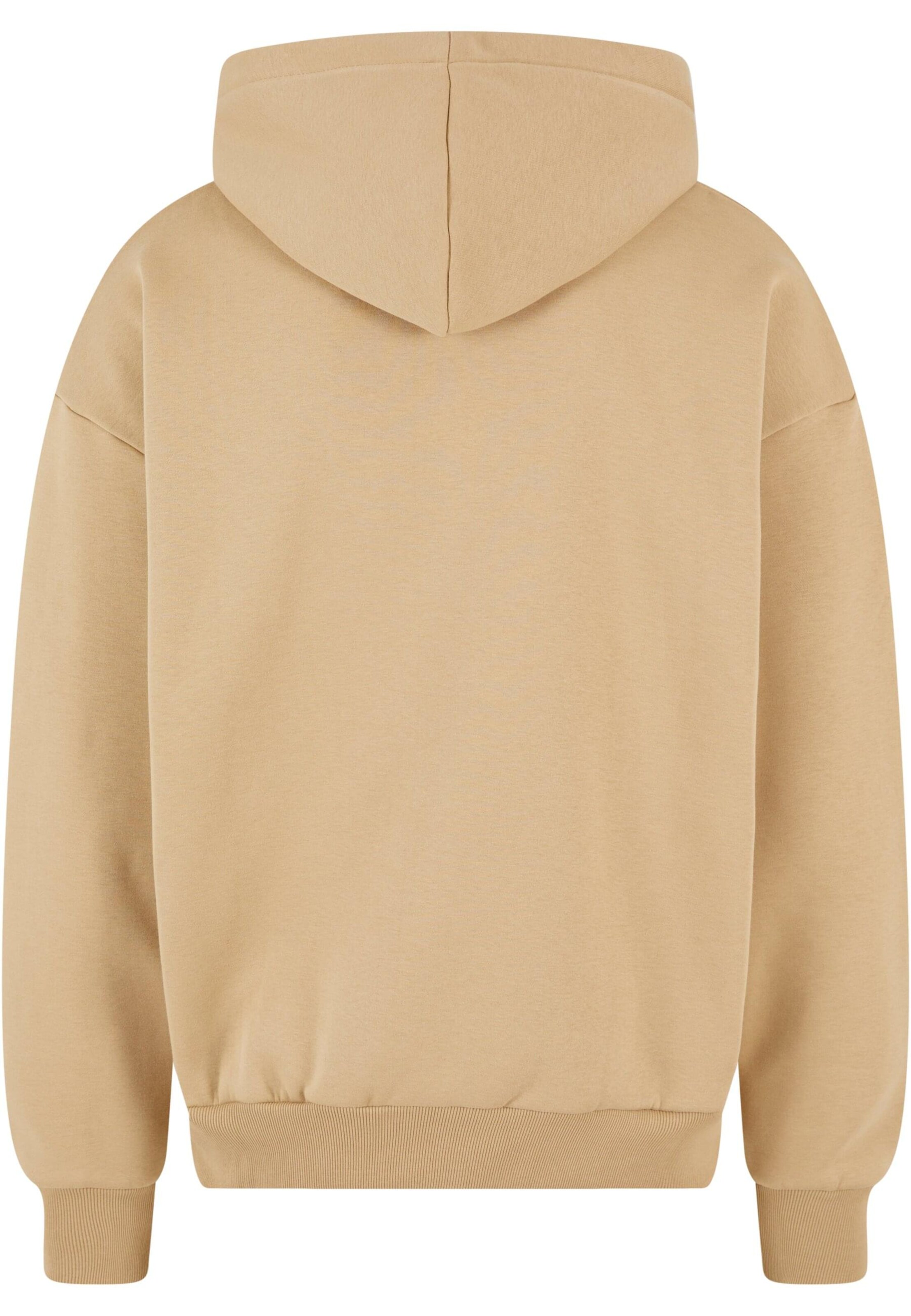 Dropsize Sweatshirt 'Embo' in Beige
