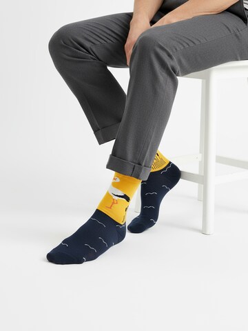 The Arctic Bay - Calcetines 'ZORA EDITION Gift box 4 Pack Unisex' en Mezcla de colores