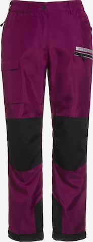 Ulla Popken Regular Athletic Pants 'HYPRAR' in Purple: front