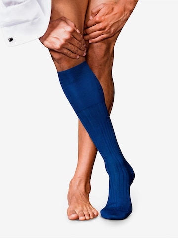 FALKE Knee High Socks 'No. 13 Finest Piuma Cotton' in Blue: front