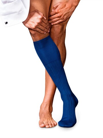 FALKE Kniestrümpfe 'No. 13 Finest Piuma Cotton'‌‌‌‌‌‌‌‌‌ in Blau: Vorderseite