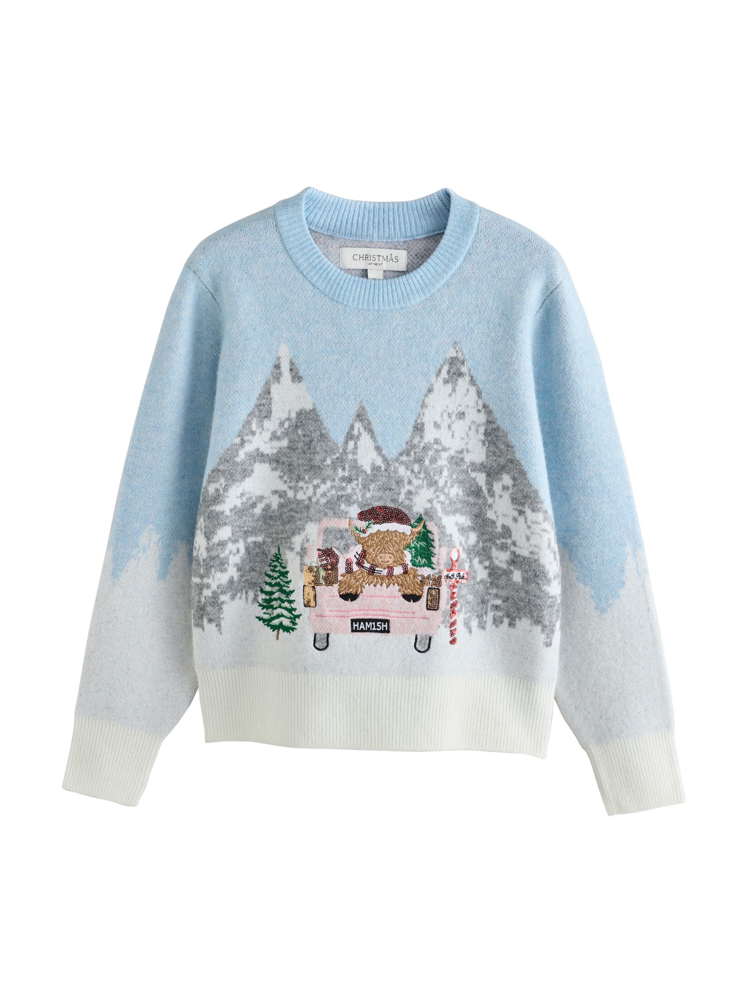 Pull-over Next en bleu : devant