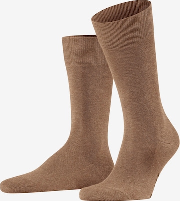 FALKE Socken 'Family' in Braun: Vorderseite