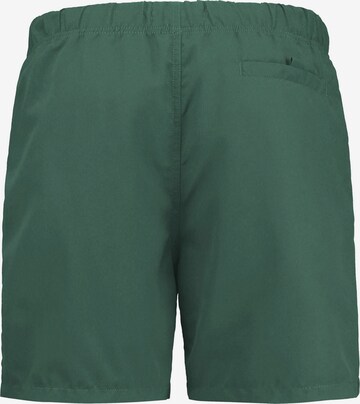 Shiwi Board Shorts in Green