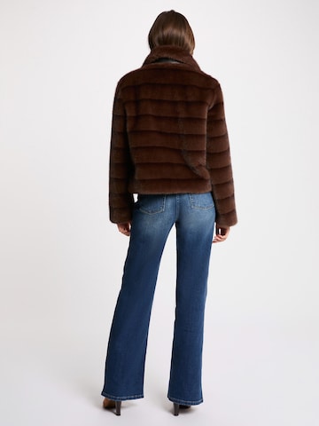 Morgan Prehodna jakna '261-GFOLKA' | rjava barva