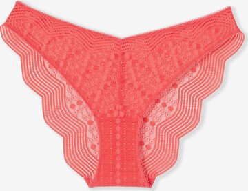 Slip di ETAM in arancione: frontale