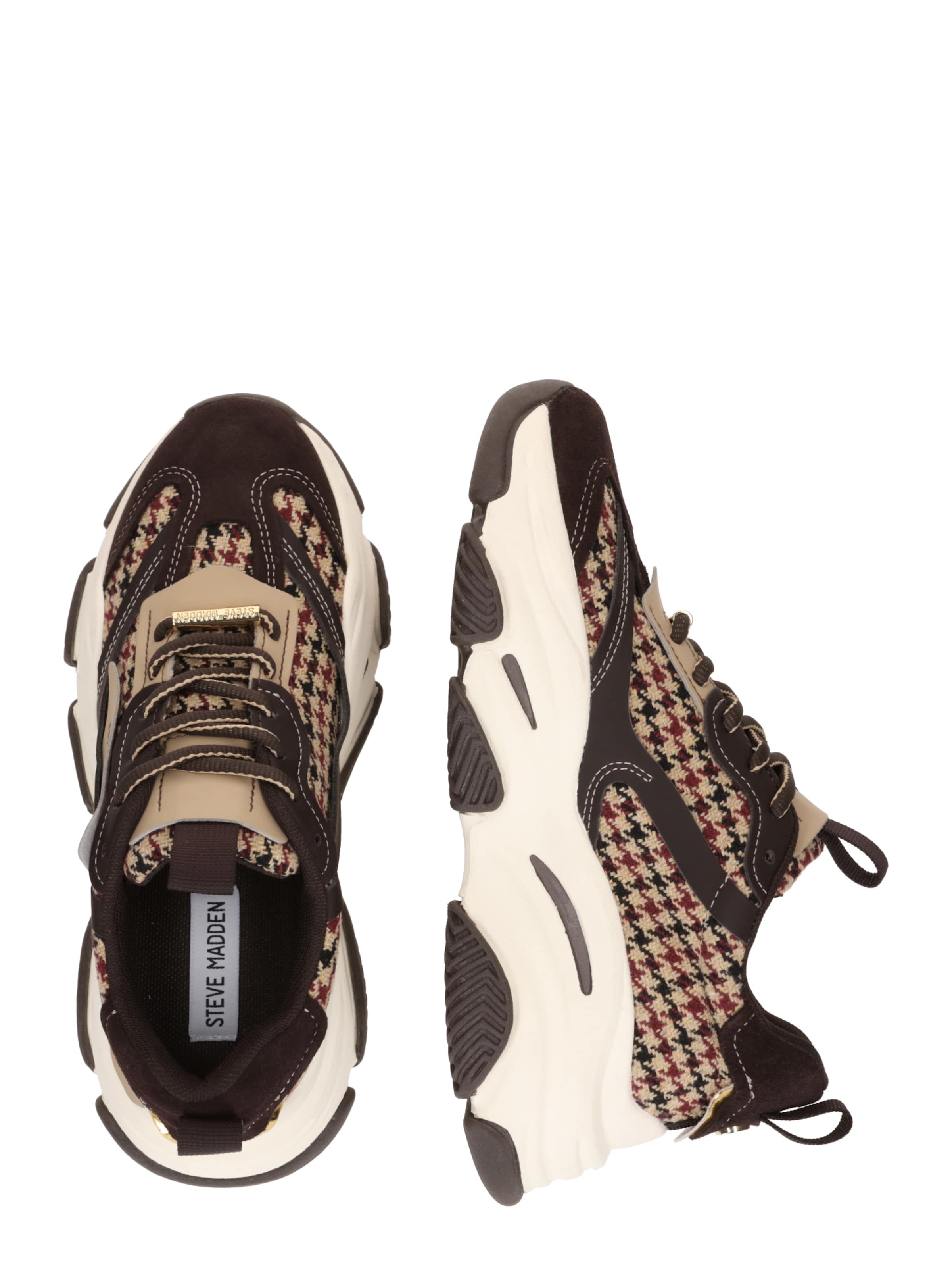 STEVE MADDEN Platform trainers 'POSSESSION-E' in Brown