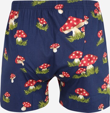 D.E.A.L International Boxershorts 'Pilz' in Blau