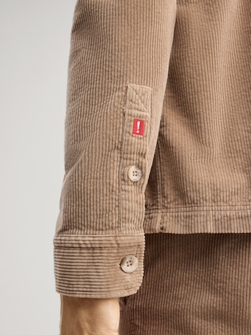 JOOP! Jeans Regular fit Business shirt in Brown