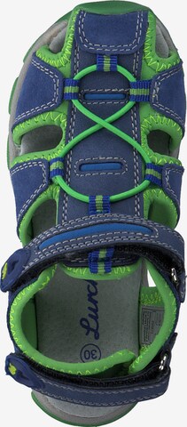 SALAMANDER Sandals 'Boris 21615' in Blue