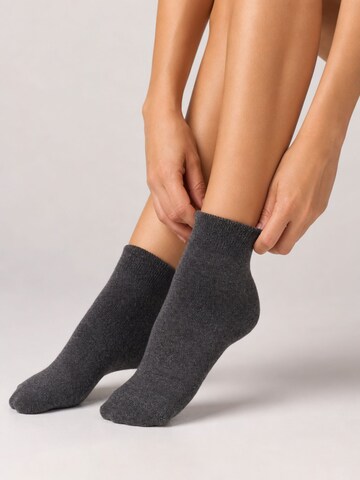 sockenkauf24 Socken‌‌‌‌‌ in Grau: Vorderseite