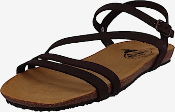Sandales à lanières 'Mam Vita' Plakton en marron : devant