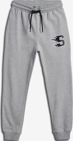 SOMETIME SOON Loose fit Pants in Grey: front