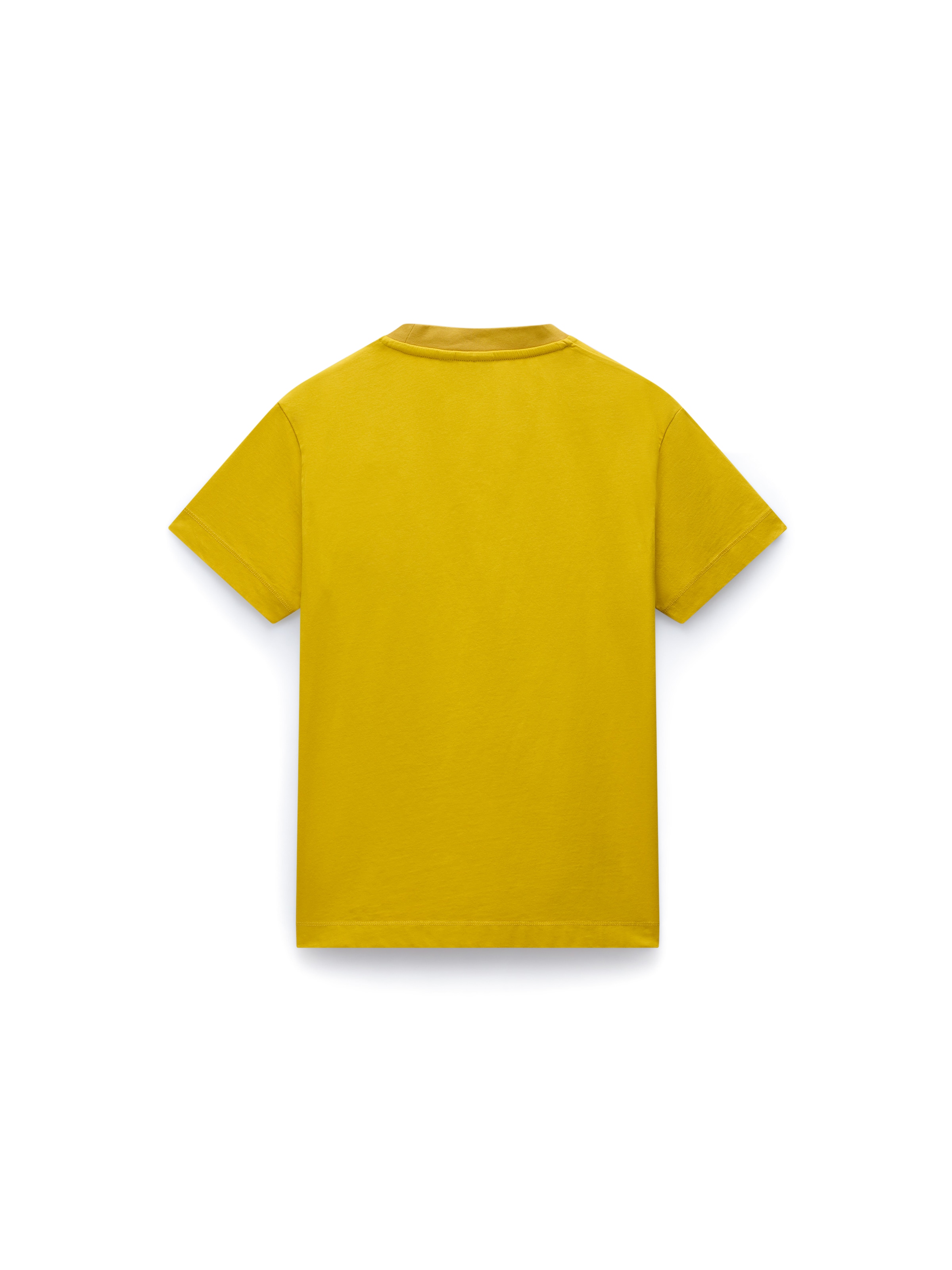 T-shirt 'Fedaia' NAPAPIJRI en jaune