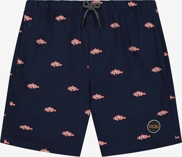 Shorts de bain Shiwi en bleu : devant