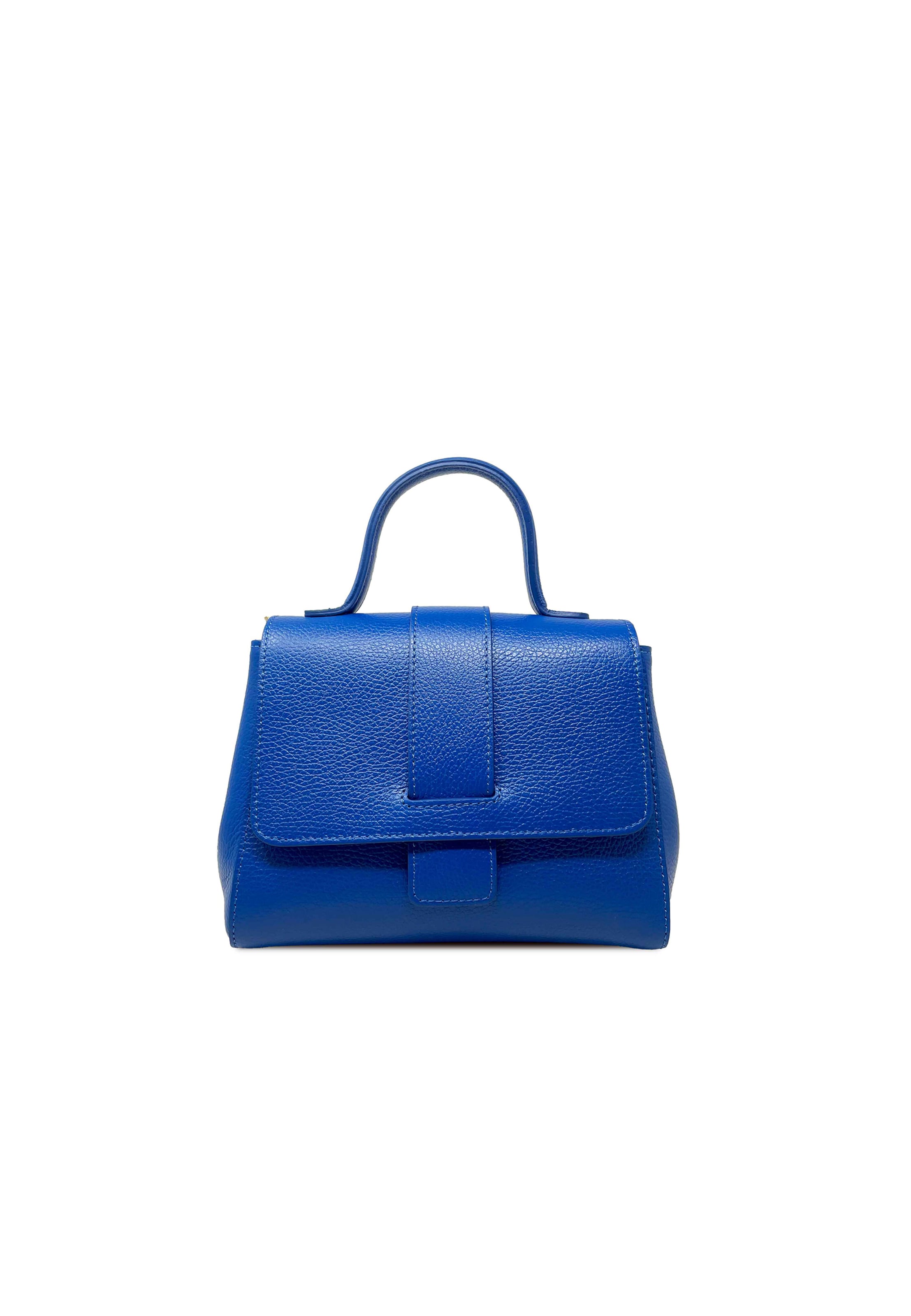 CHICCA BORSE Handbag in Blue: front