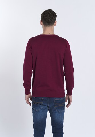 Pullover 'NARCISO' di DENIM CULTURE in rosso