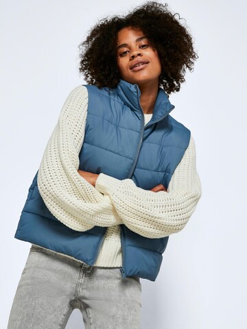 Noisy may Vest 'Marcus' in Blue