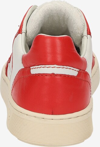 SIOUX Sneaker low in Rot