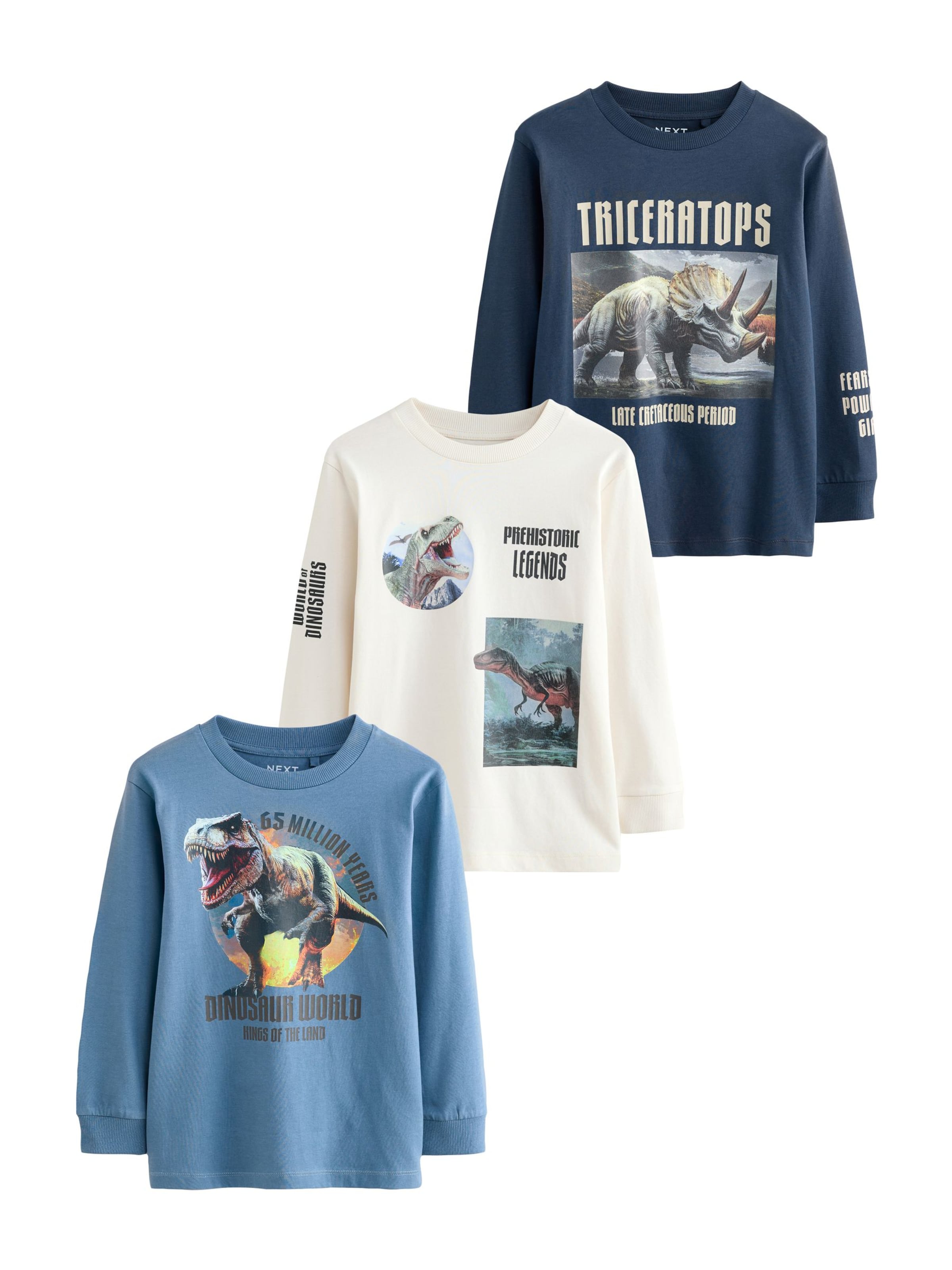 Next Shirt in Blauw: voorkant