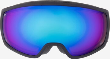 Alpina Skibrille 'DOUBLE JACK PLNT' in Blau