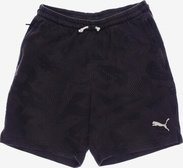 PUMA Shorts in 33 in Brown: front