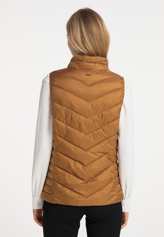 Gilet di DreiMaster Klassik in marrone