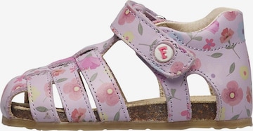 Falcotto Sandals 'ALBY' in Purple: front