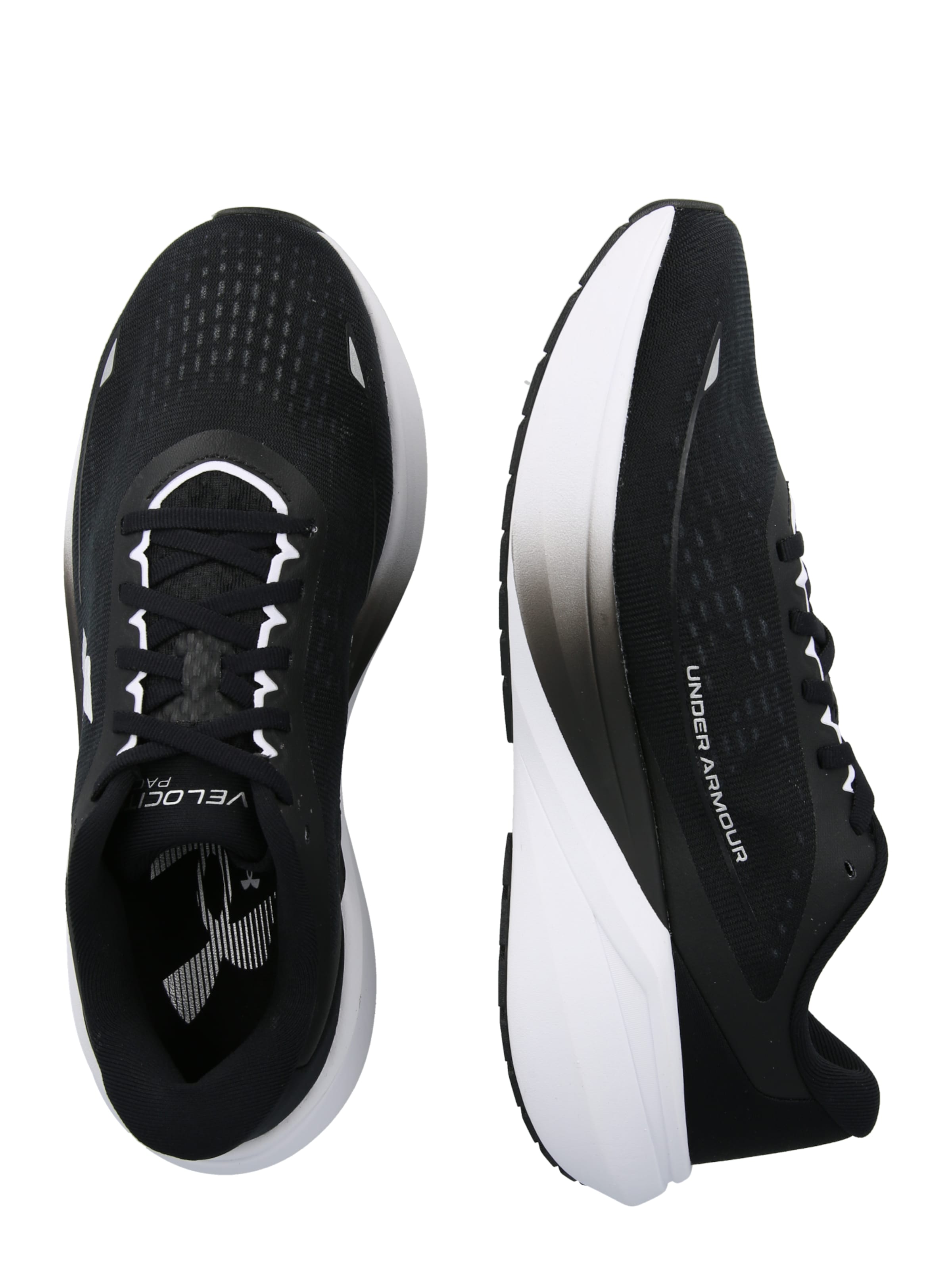 UNDER ARMOUR Running Shoes 'Velociti Pace' in Black