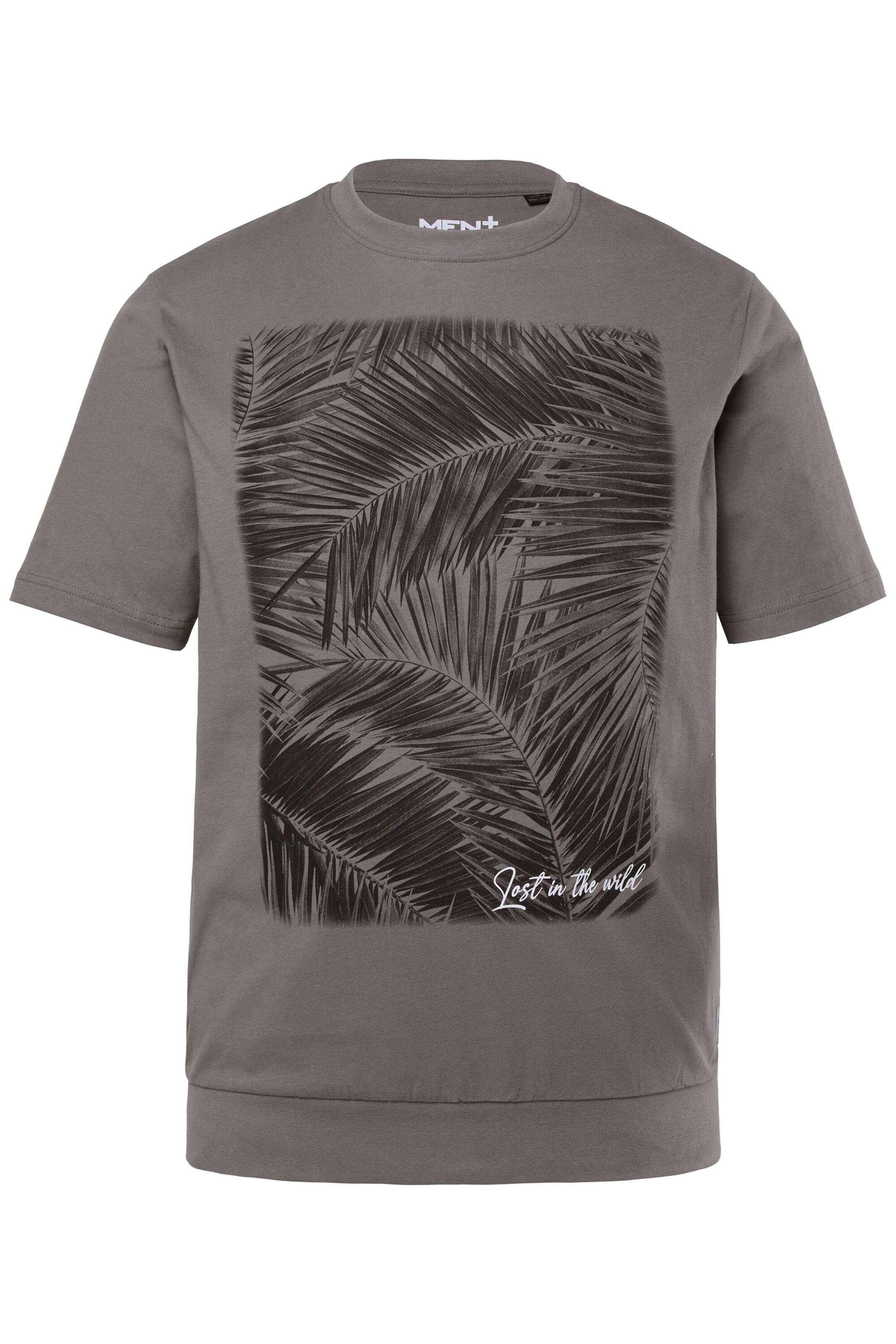 Men Plus Shirt in Grijs: voorkant