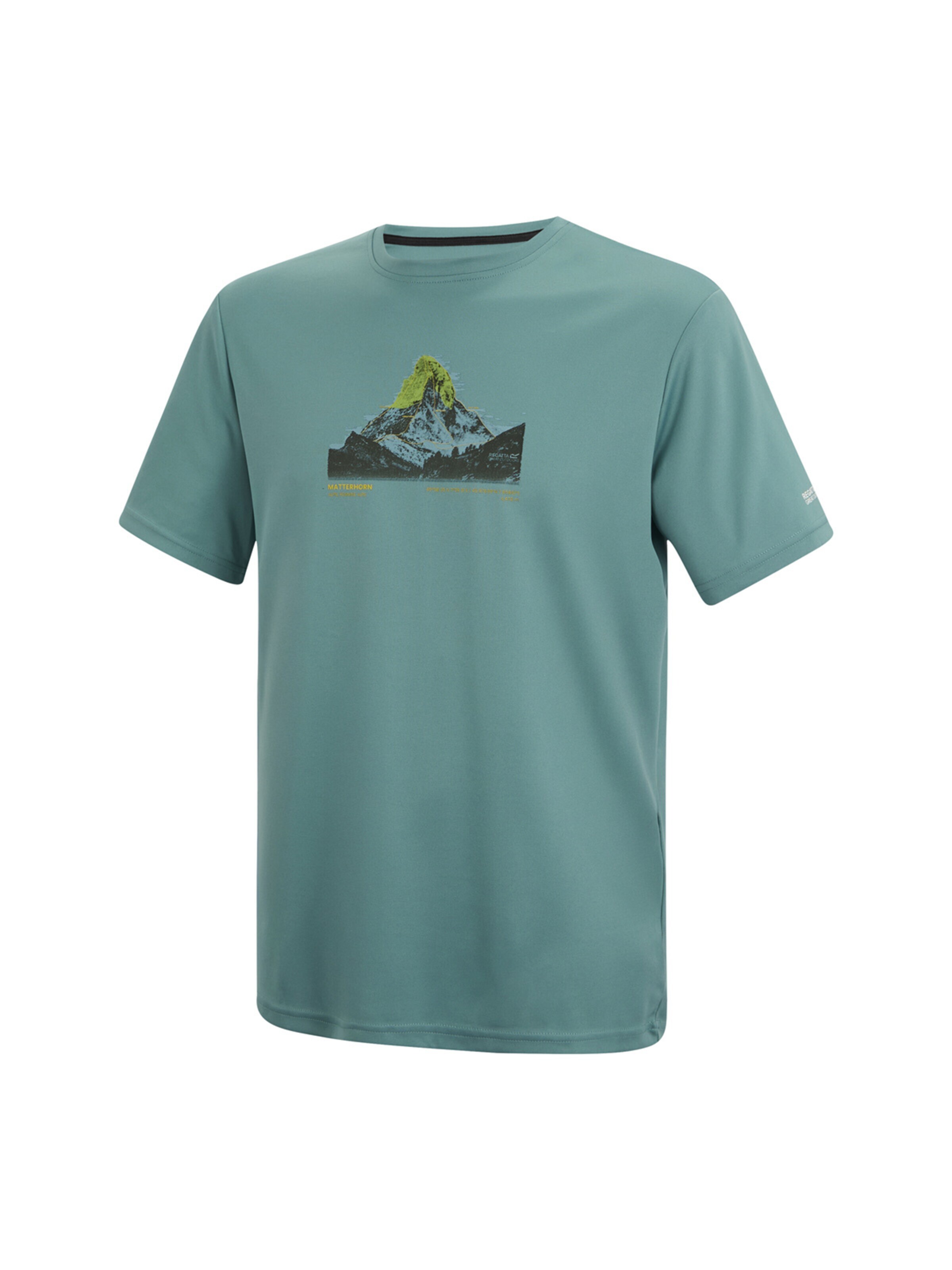 REGATTA Shirt 'Bekleidung Fingal in petrol' in Grün