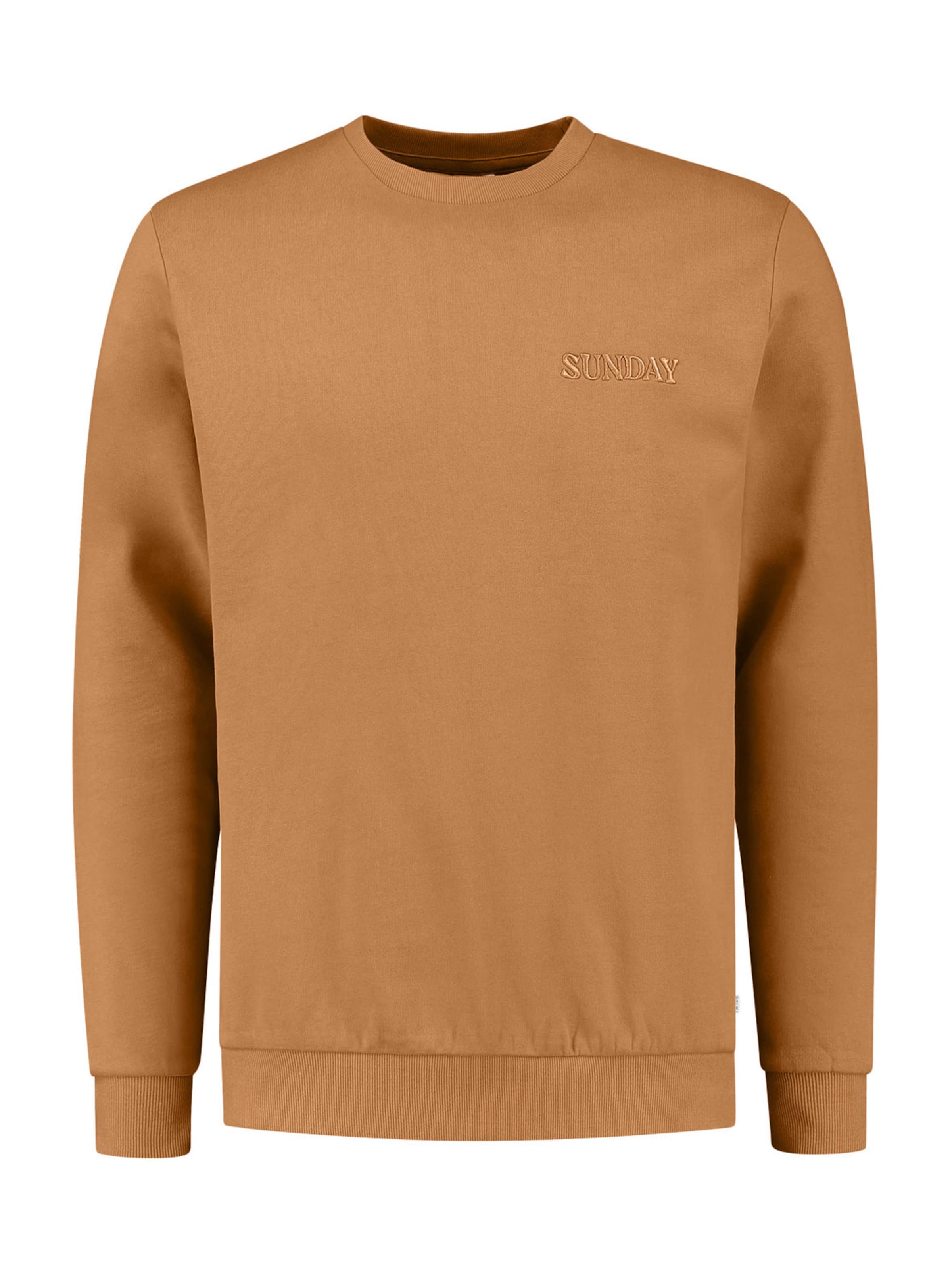 Shiwi Свитшот 'Sunday' в Коричневый: спереди