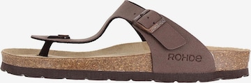 ROHDE Pantolette 'Alba' in Braun: Vorderseite