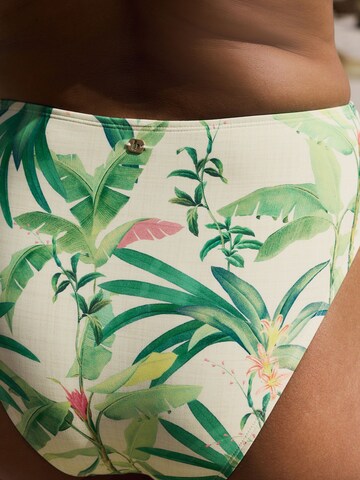 B by Ted Baker Bikinibroek in Beige