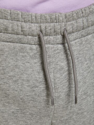 Regular Pantalon JACK & JONES en gris