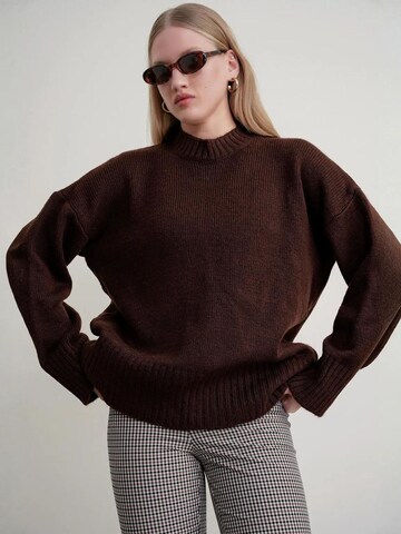 MixRay Trui in Bruin