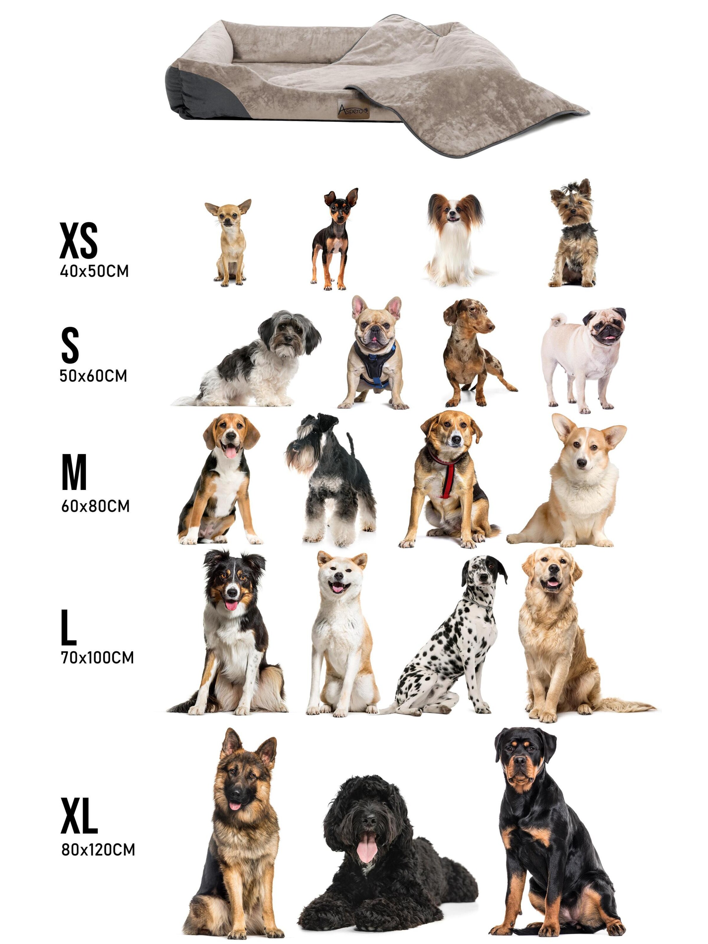 Aspero Accessoires voor dieren 'Hanko Und Lund' in Beige