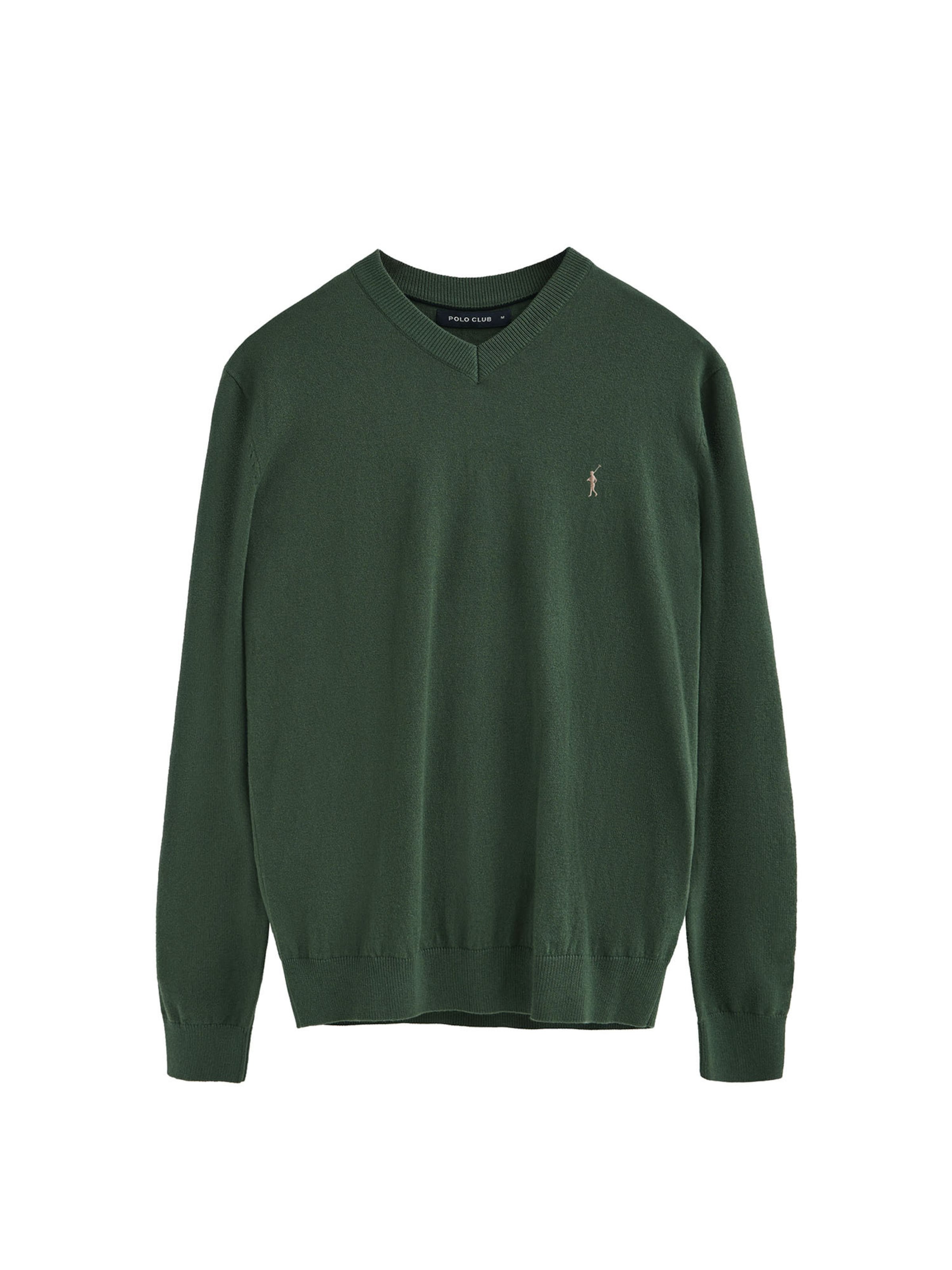 Polo Club Pullover in Grün: Vorderseite