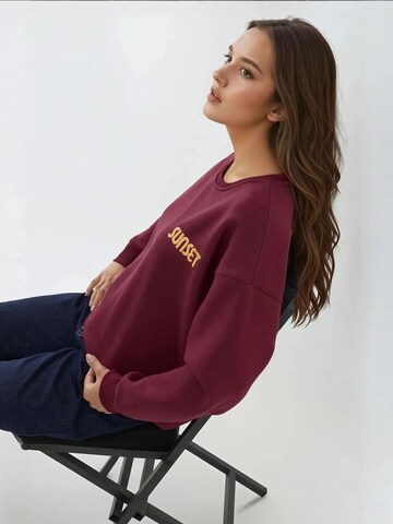 Sweat-shirt 'Sweatshirts' Hiccup en rouge