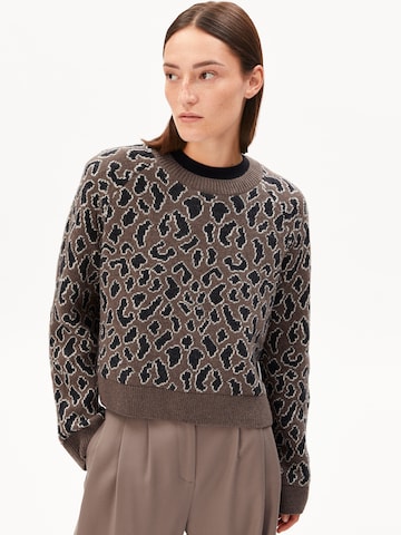Pull-over ARMEDANGELS en marron : devant