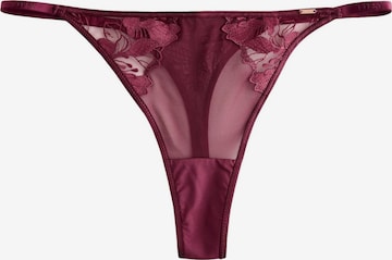 LipsyTanga gaćice - ljubičasta boja: prednji dio