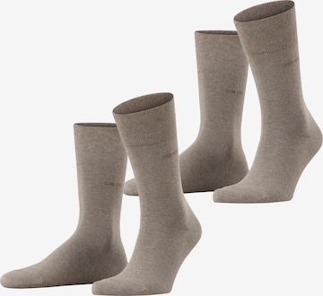 ESPRIT Socks 'Basic Easy 2-Pack' in Brown: front