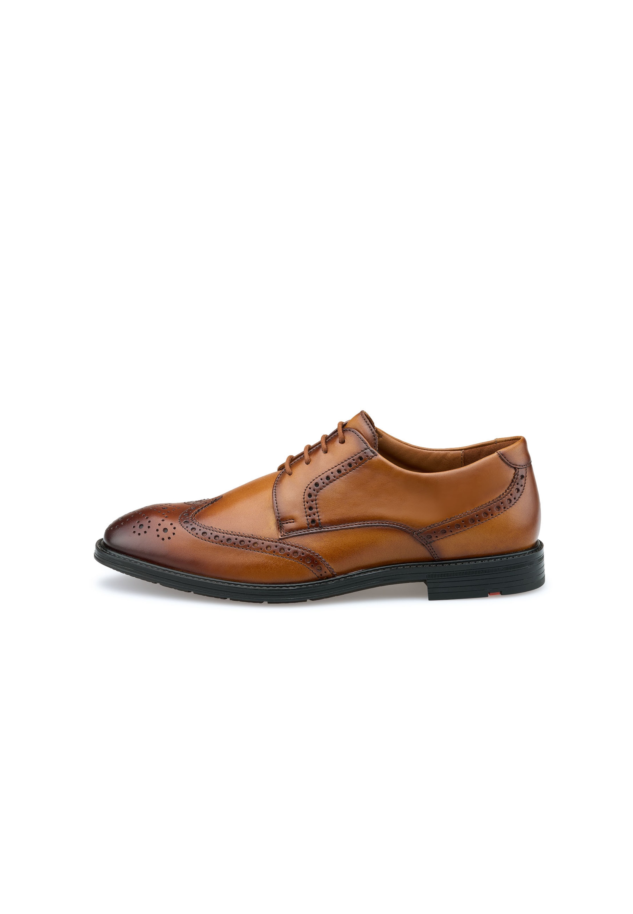 Scarpa stringata 'X-MOTION 140W' di LLOYD in marrone: frontale