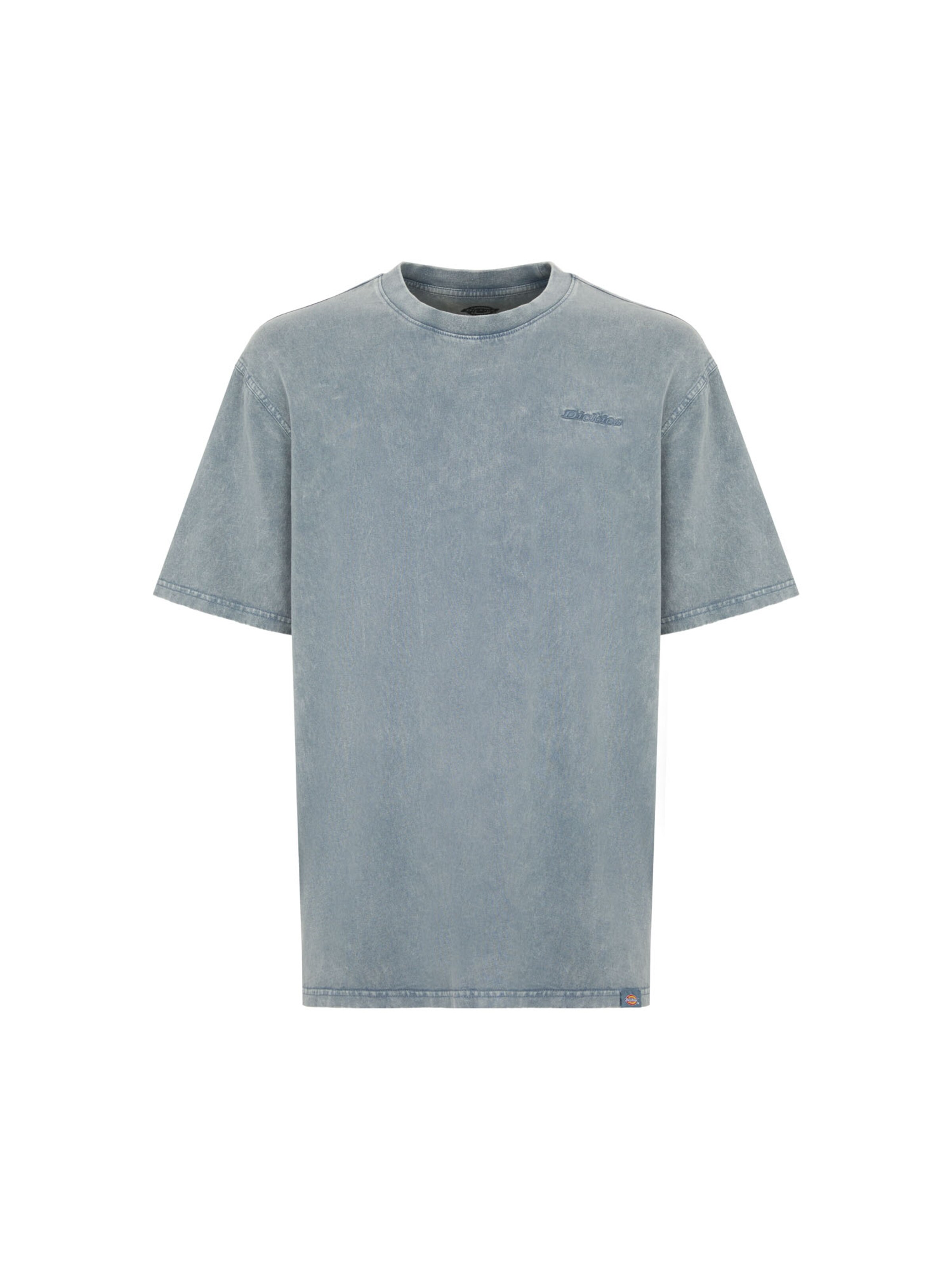 DICKIES Shirt 'Plentywood' in Grijs: voorkant