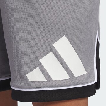 Loosefit Pantaloni sportivi 'Basketball Badge of Sport' di ADIDAS PERFORMANCE in grigio