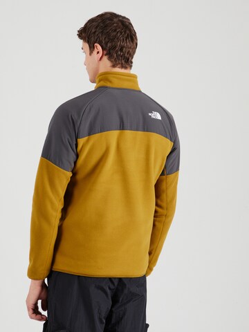 THE NORTH FACE Sportspullover 'GLACIER' i grøn